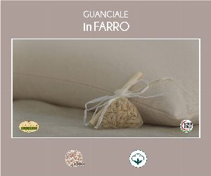 Guanciale in pula di FARRO biologico e tessuto in puro cotone biologico · dettaglio 1
