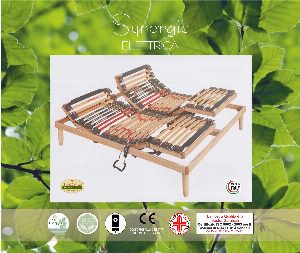 Rete Synergic Elettrica · dettaglio 2